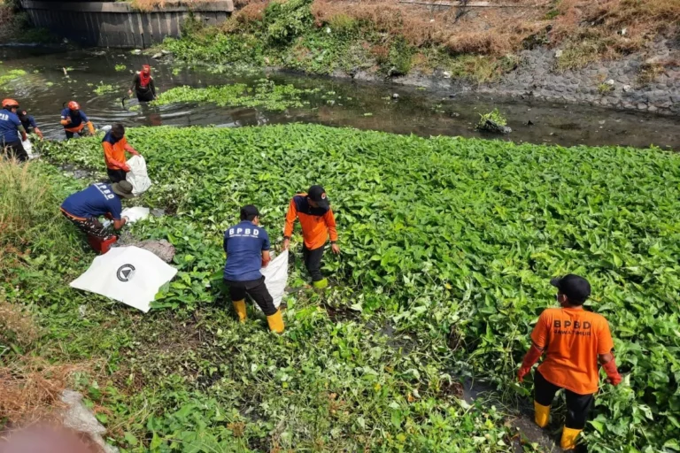 BPBD Jatim Bersihkan Sungai Pucang Sidoarjo Mitigasi Bencana banjir