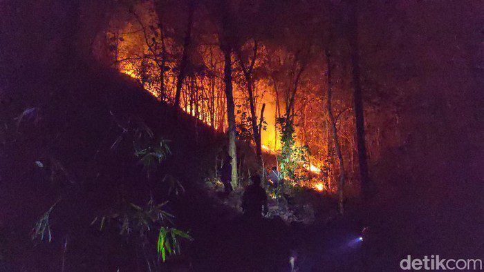 4 Hektare Kawasan Hutan Perhutani di Tulungagung Terbakar