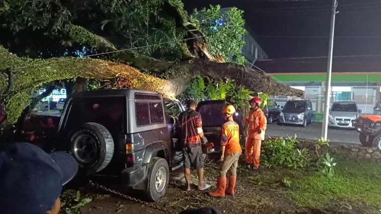 Puting Beliung Hajar Kaliwates Jember, Puluhan Pohon Tumbang Dan Rumah Rusak