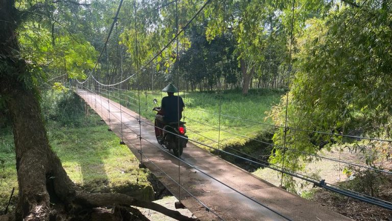 Jembatan Kehidupan Peternak Sapi/Kambing di Desa Jatimulyo