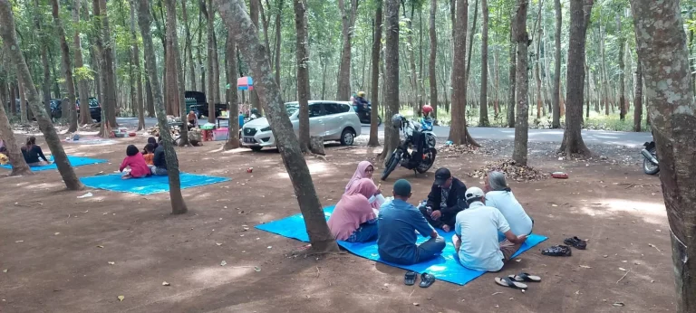 Jadi Lokasi Wisata Dadakan, Kebun Karet Glantangan Jember Ramai Pengunjung di Akhir Pekan