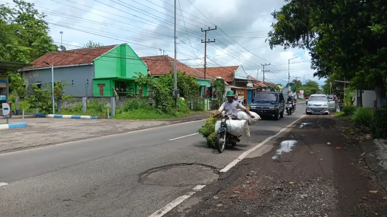 Perbaikan Jalan Berlubang Butuh Waktu, Salah Satunya di Mangli Jember