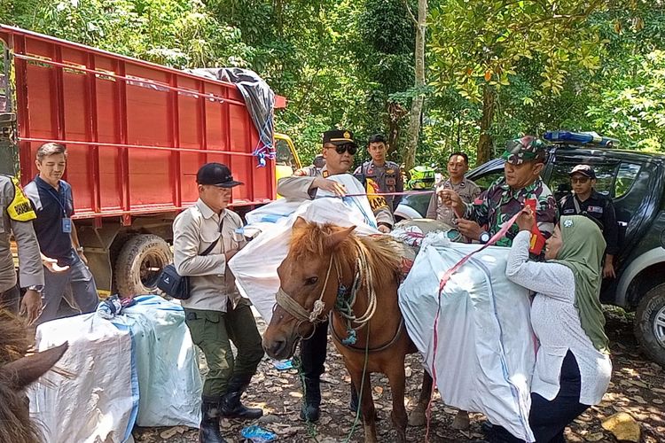 Distribusi Logistik Pemilu Di Daerah Terpencil Jember Pakai Kuda