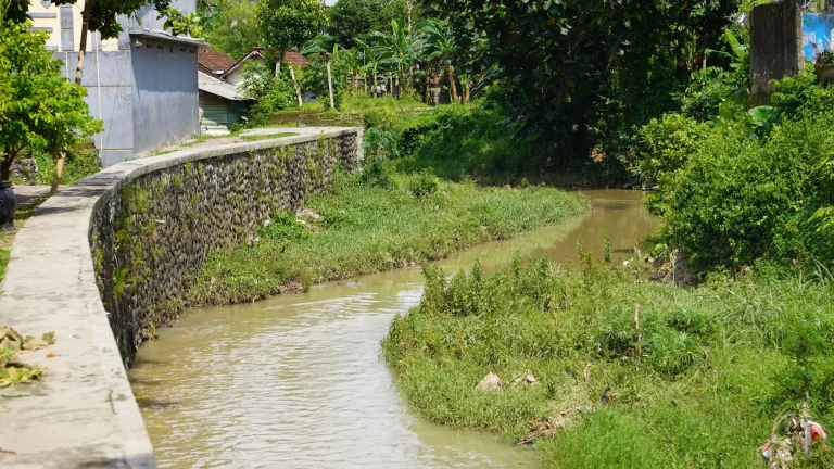 BAHAYA! Sungai Jompo Jember Sudah Dangkal, Warga Waswas