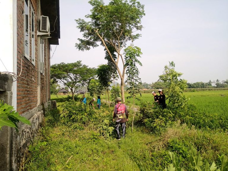 Giat Kerja Bakti Pemdes Kemuningsari Kidul