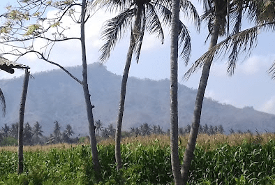 Potensi Yang Ada di Desa Jatimulyo