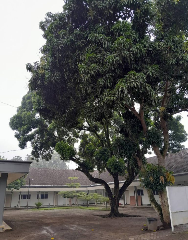 Fasilitas Unggulan Pondok Pesantren Al Inaroh
