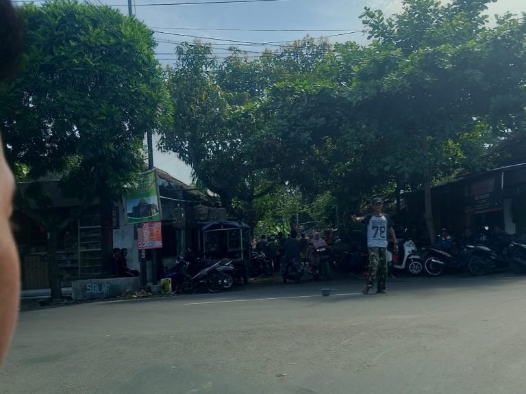 Pasar Burung Desa Cangkring Jenggawah: Surga Bagi Pecinta Burung di Jember