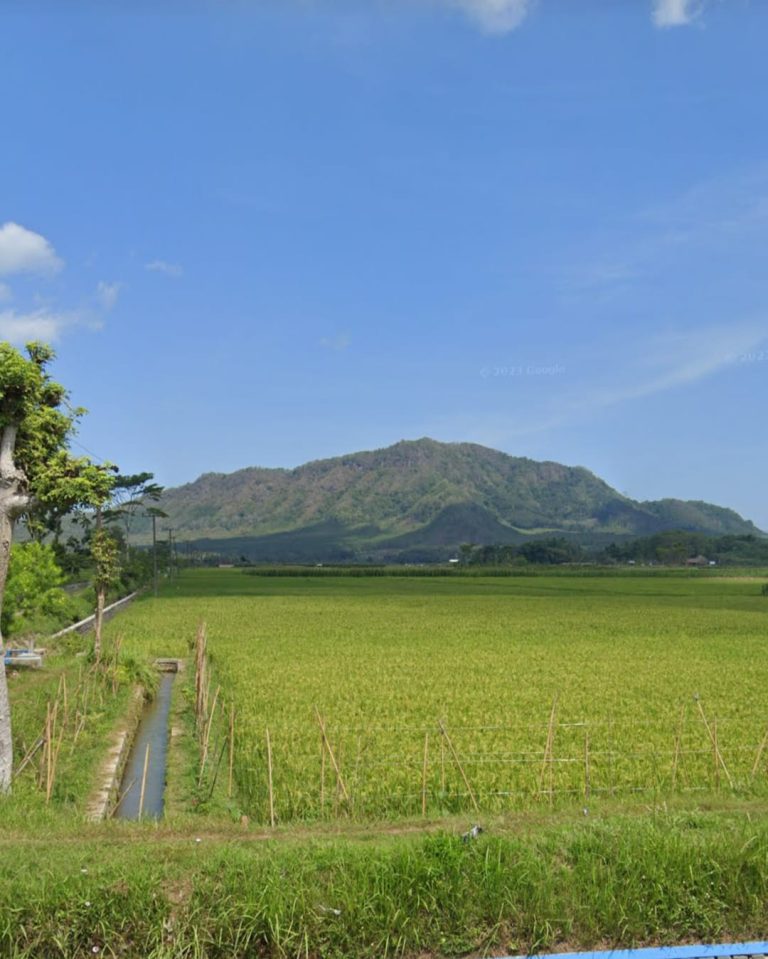 DAM Jeddeng Tempat Nyore Asik Anak Muda di Jember