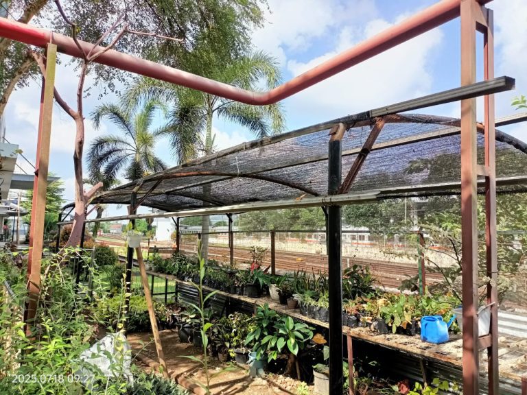 PT KAI Daop 5 Purwokerto Dorong Penanganan Iklim Lewat Penghijauan Kawasan Stasiun